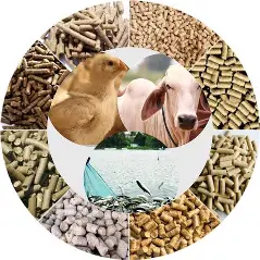 🐄 Animal Feeds from Agricultural By‑Products